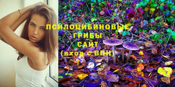 ГАЛЛЮЦИНОГЕННЫЕ ГРИБЫ Алексин