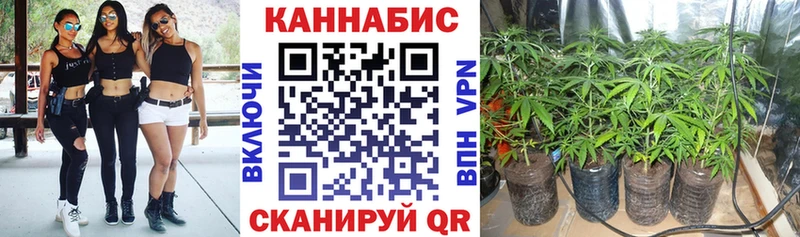 сколько стоит  МЕГА сайт  Марихуана план  Чухлома 